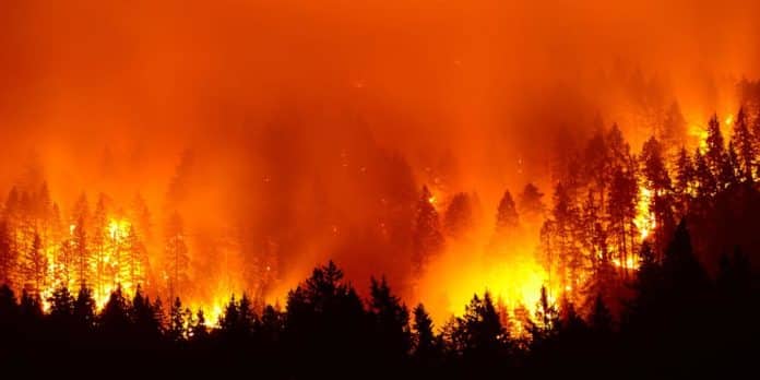 Ausgedehnte Waldbrände machen vielen Teilen Südeuropas derzeit zu schaffen. Hohe Lufttemperaturen aber haben die Brände nicht entzündet. © Shutterstock